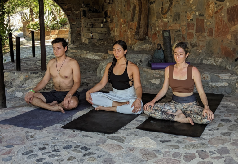 Imagen Blog Temploo | Temploo Yoga Mats | Tapetes de Yoga